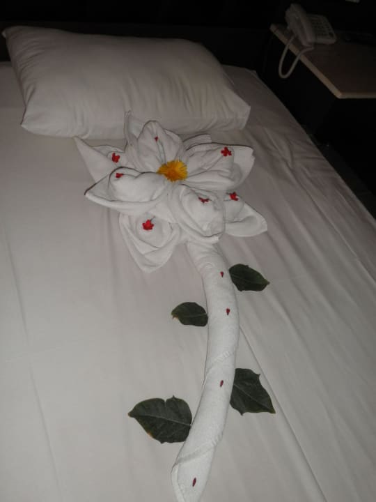 Wunderschönnn Pickalbatros Alf Leila Wa Leila Resort - Neverland Hurghada