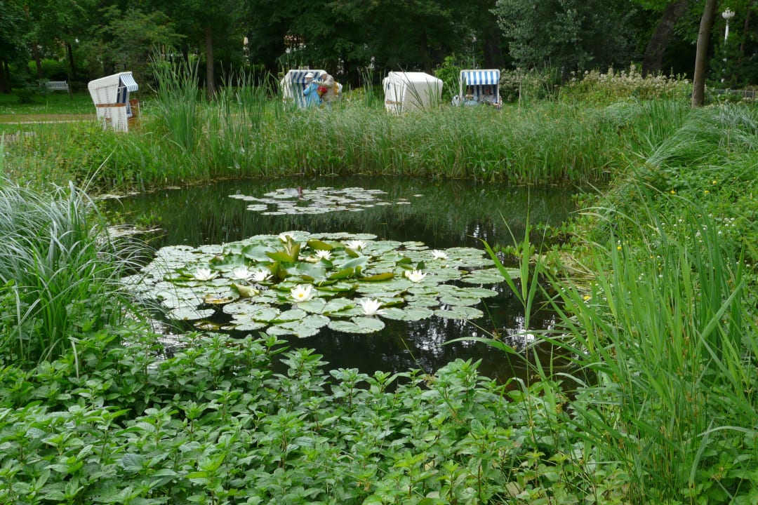 Teich mit Strandkörben Seehotel Großherzog von Mecklenburg