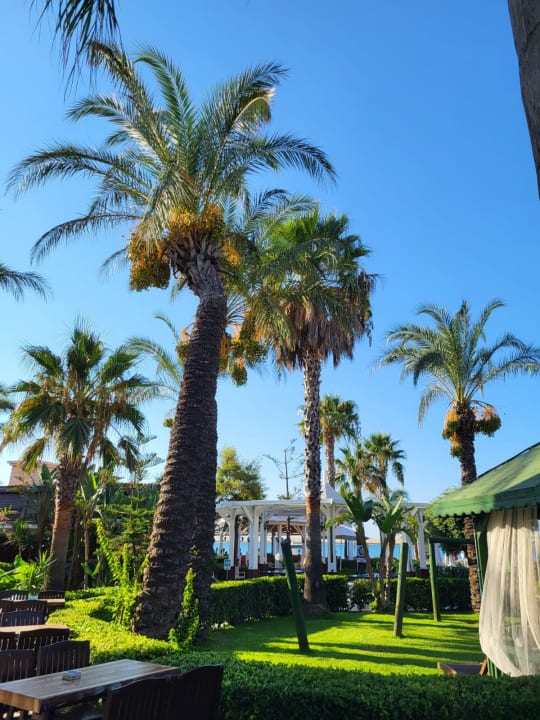 Gartenanlage Crystal Family Comfort Collection