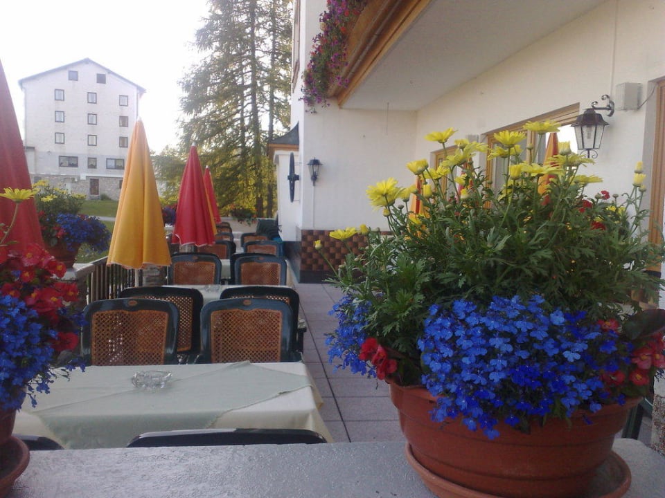 Aussenterrasse Hotel Alpenrose
