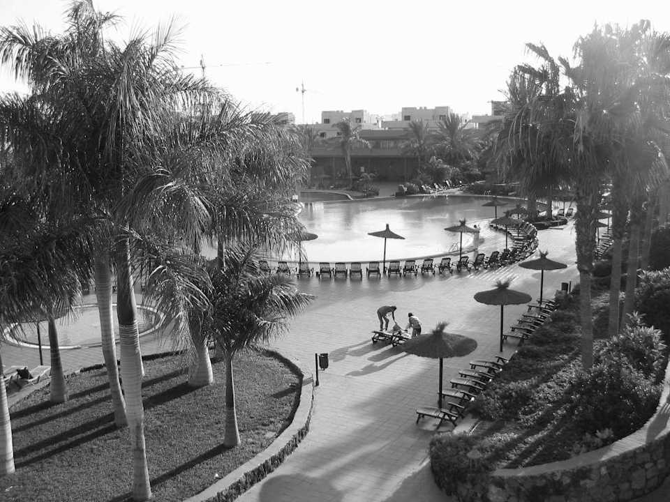 Blick auf den Pool Hotel Oasis Village