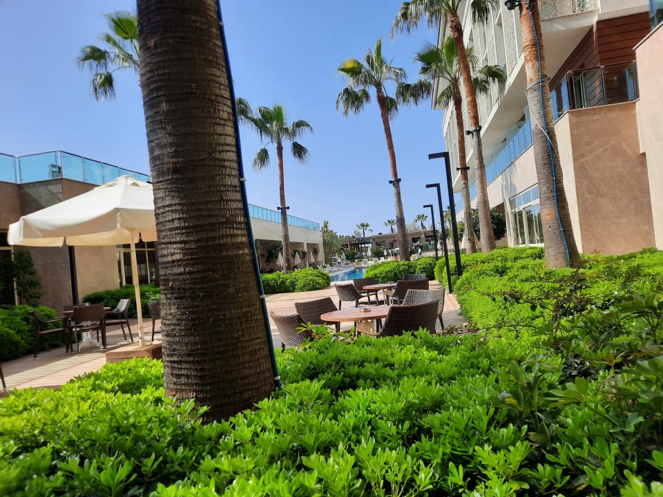 Gartenanlage Sentido Trendy Verbena Beach