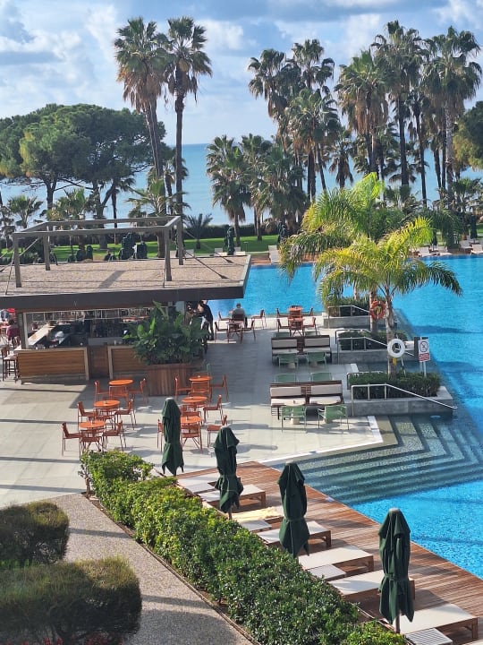 Pool Acanthus Cennet Barut Collection