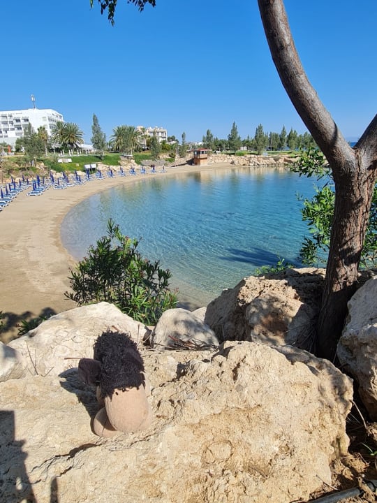 Strand Crystal Springs Beach Hotel