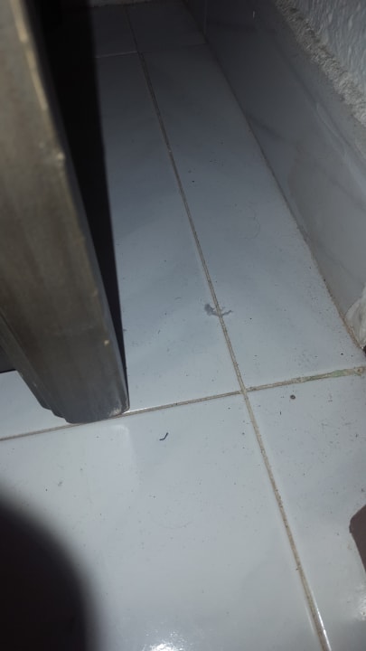 Zimmer SBH Hotel Taro Beach