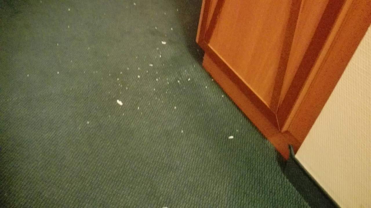 Teppich bei Bezug des Zimmers IntercityHotel München