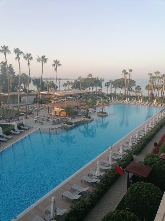 Pool Acanthus Cennet Barut Collection