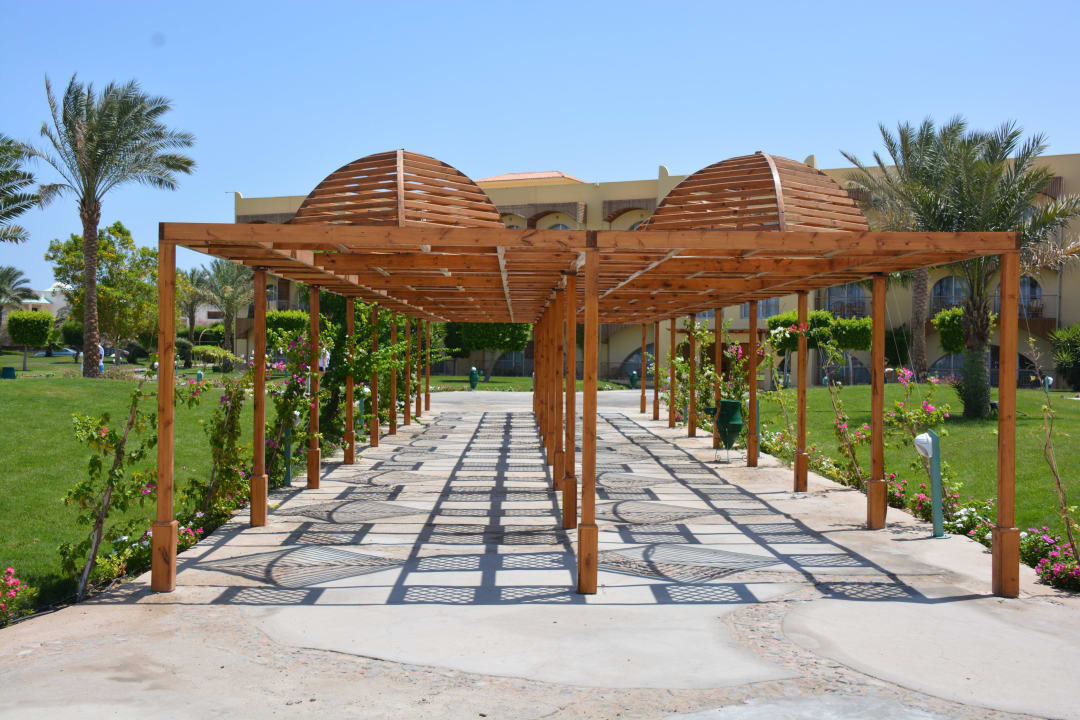 Einfach schön Desert Rose