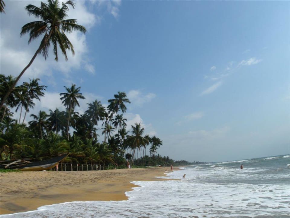 Ocean w wersji w miarę spokojnej Mermaid Hotel & Club