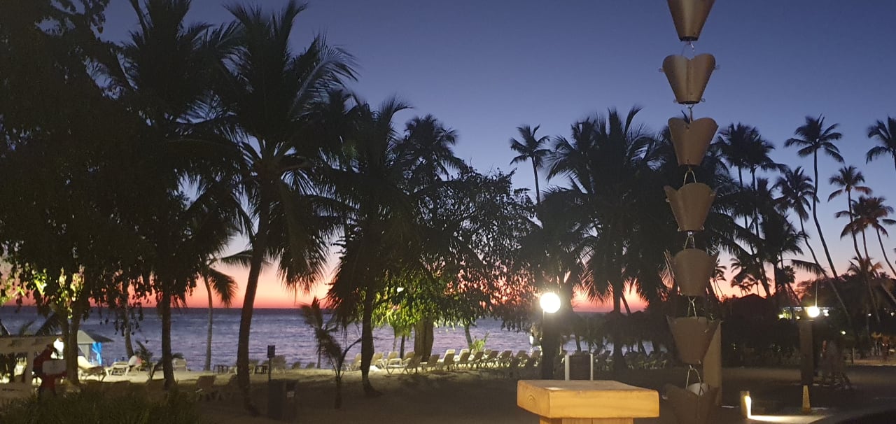 Gartenanlage Secrets La Romana Resort & Spa - Adult Only