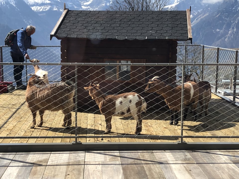 Außenansicht Märchenhotel Braunwald