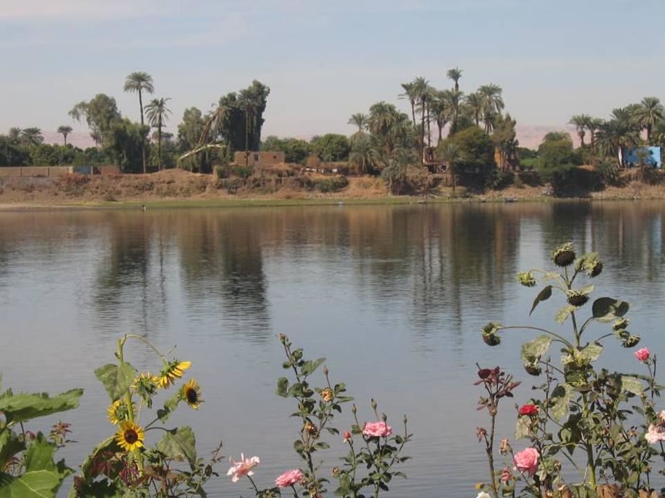 Nilufer Jolie Ville Kings Island Luxor