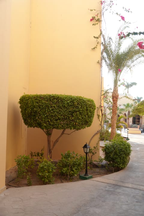 Gartenanlage Steigenberger Coraya Beach - Adults only