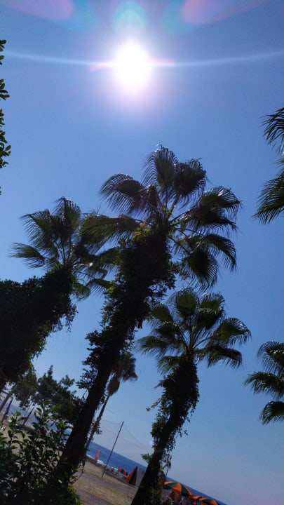 Gartenanlage Gardenia Hotel