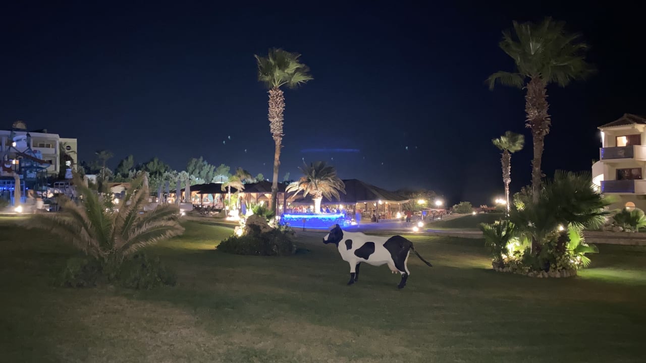 Gartenanlage Hotel Kalithea Horizon Royal