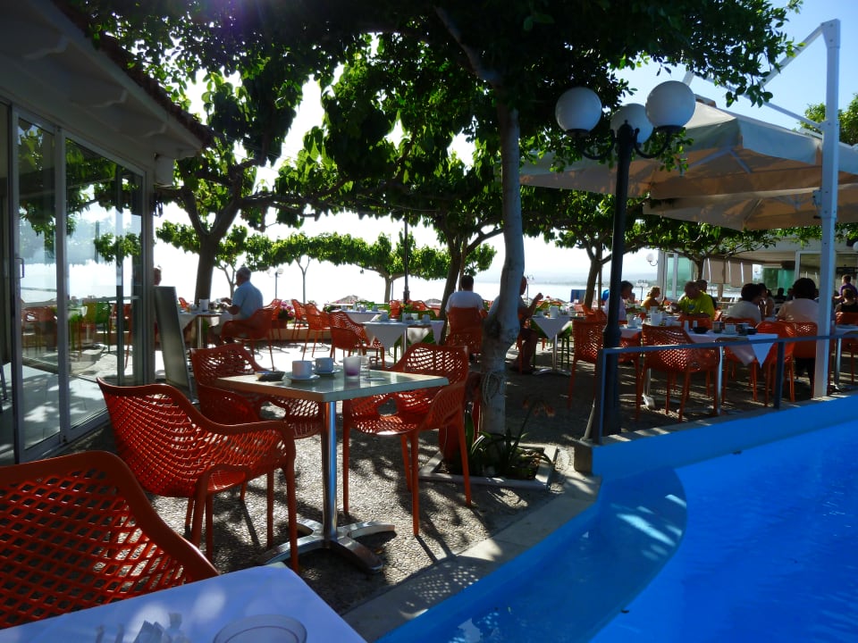 Gartenanlage Harmony Boutique Resort