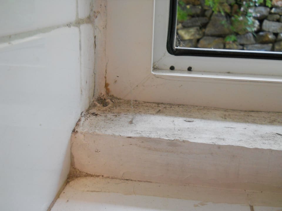 Schimmel aan het raam van het toilet Apartments Bache