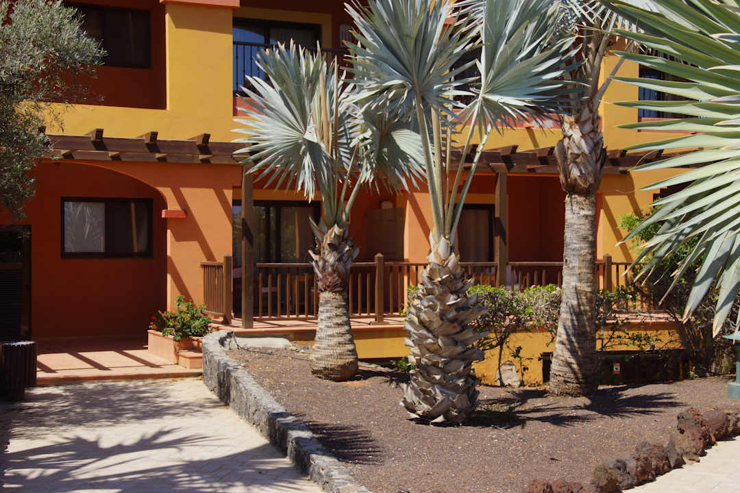 Gartenanlage Sheraton Fuerteventura Golf & Spa Resort