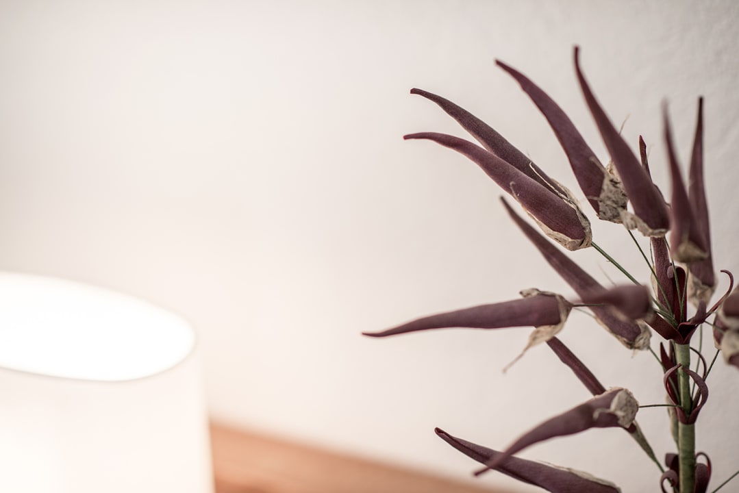 Zimmer Hotel Mistral