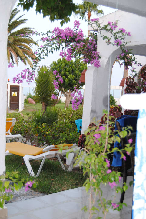 Blick von der Terrasse auf den kleinen Garten Sahara Beach Club