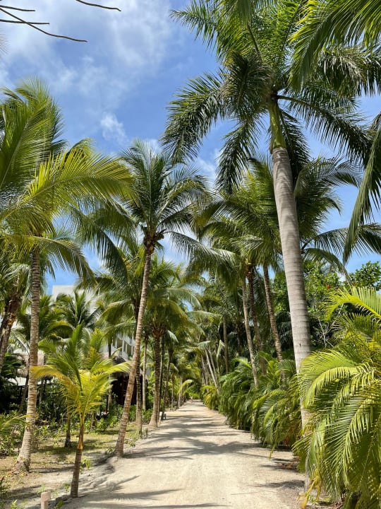 Gartenanlage Akumal Bay Beach & Wellness Resort