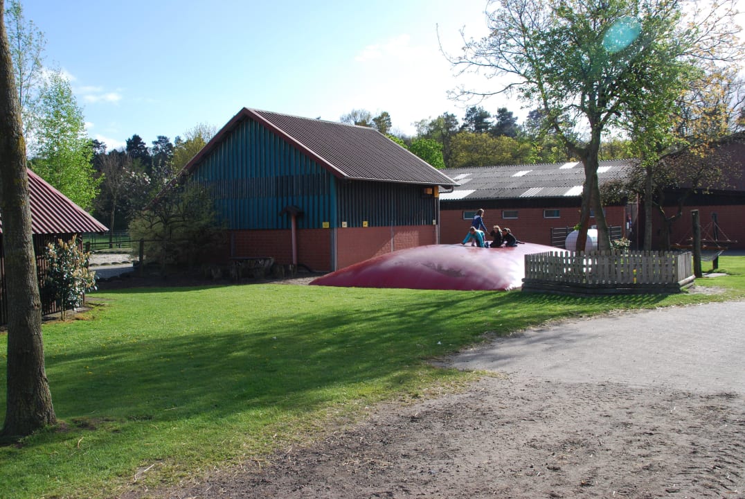 Hüpfkissen Landhuus Laurenz