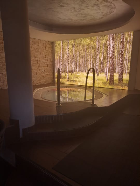 Pool Der Birkenhof - Spa & Genuss Resort