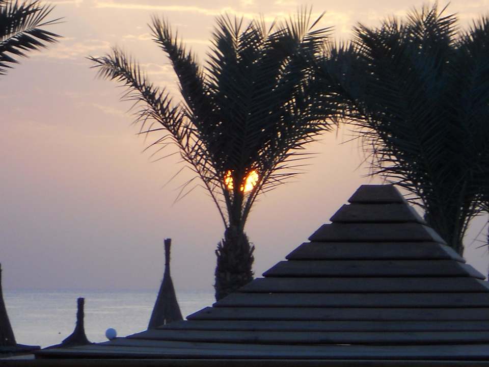 Sonnenaufgang Pickalbatros Palace Resort