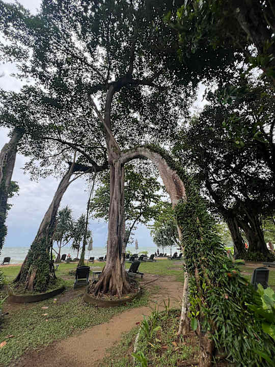Gartenanlage Khao Lak Merlin Resort