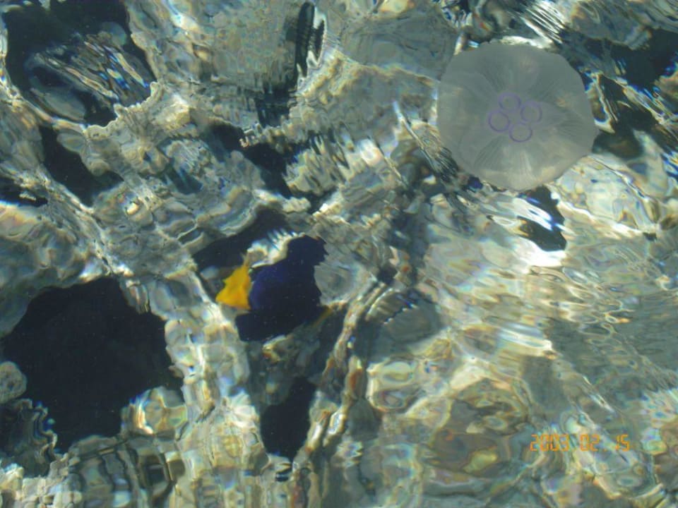 Rafa Sultan Gardens Resort