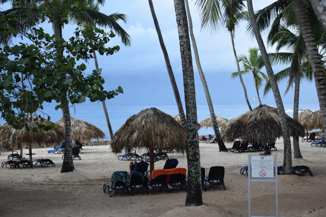 Aussicht vom Bungalow Hotel Viva Dominicus Beach by Wyndham - All Inclusive Resort