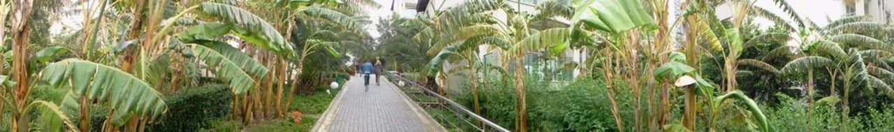 Gartenweit Sealife Buket Resort & Beach