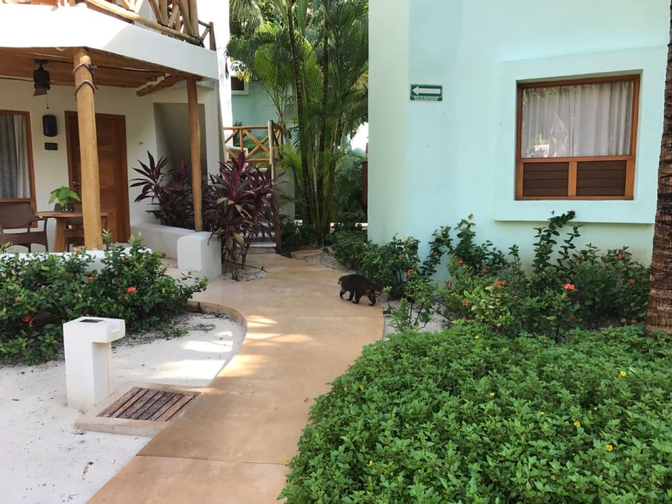 Außenansicht Mahekal Beach Resort