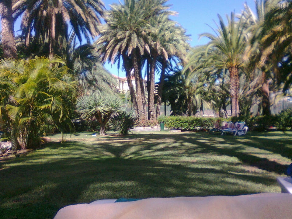 Der herrliche Palmengarten Hotel Riu Palace Oasis