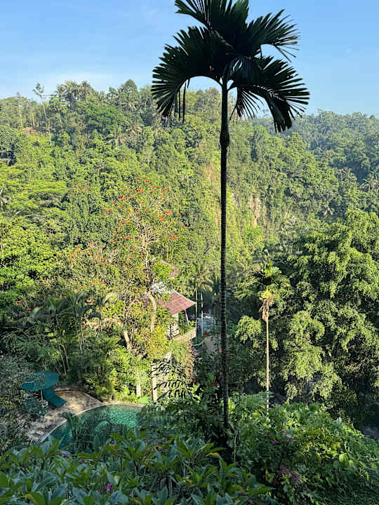 Ausblick Hotel The Royal Pita Maha