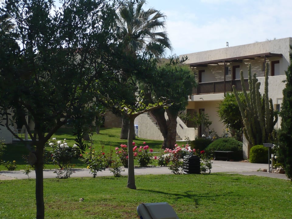 Garten Phãea Cretan Malia