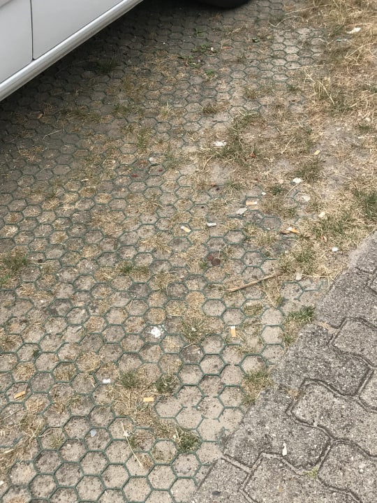 Sonstiges Ferienwohnungen Ferienpark Weissenhäuser Strand