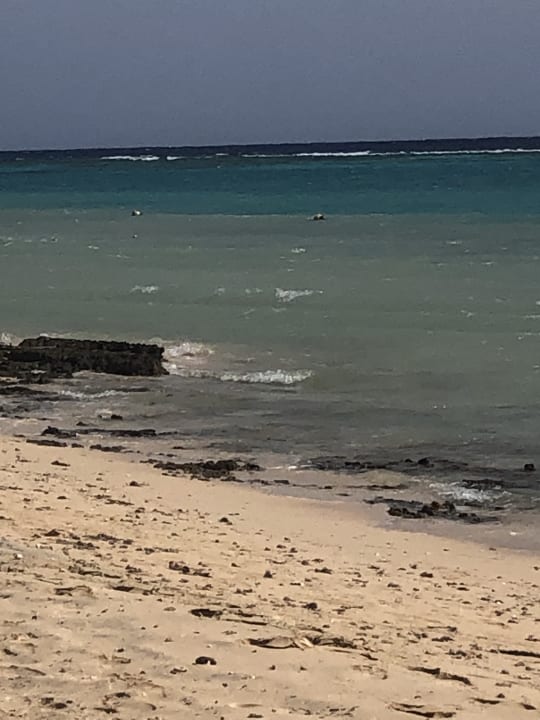 Strand Hotel Gorgonia Beach Resort