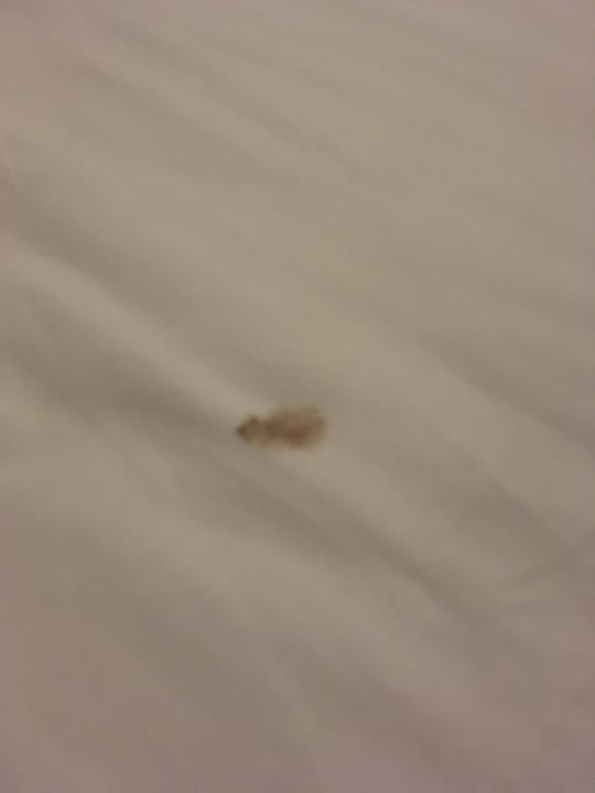 Zimmer Marlin Inn Azur Resort