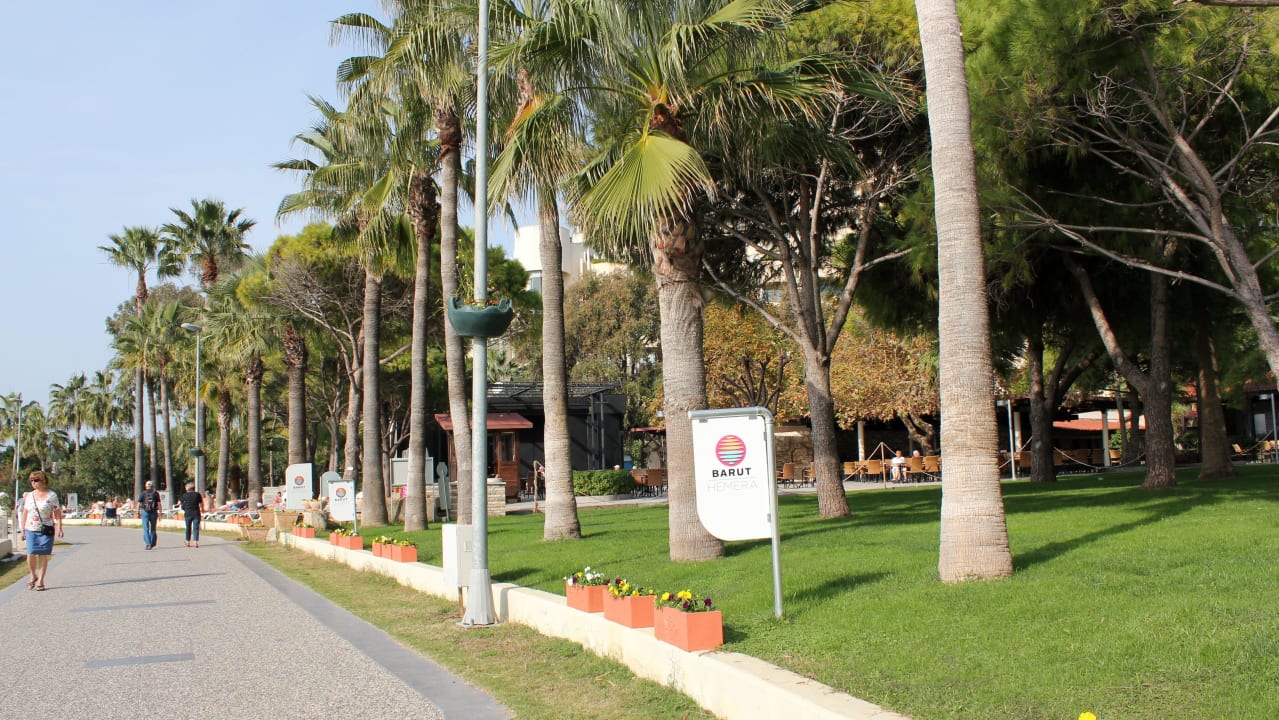 Bilder Dez 2014 Barut Hemera