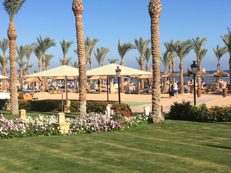 Garten Pickalbatros Palace Resort