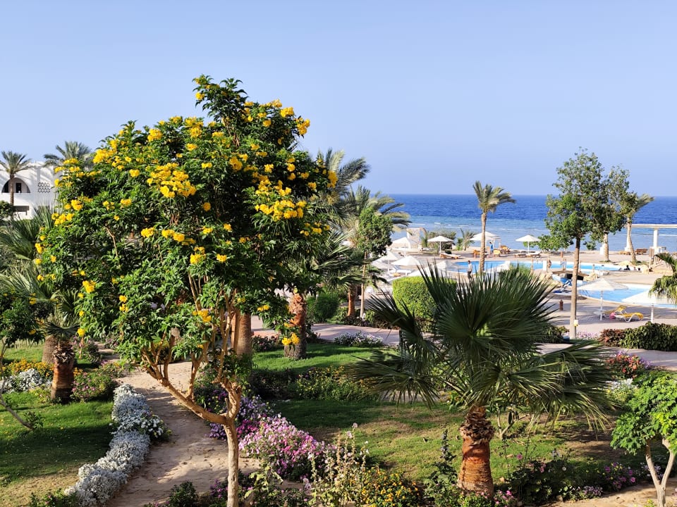 Ausblick Three Corners Equinox Beach Resort