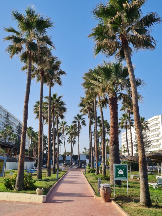 Gartenanlage Sahara Beach Aquapark & Resort