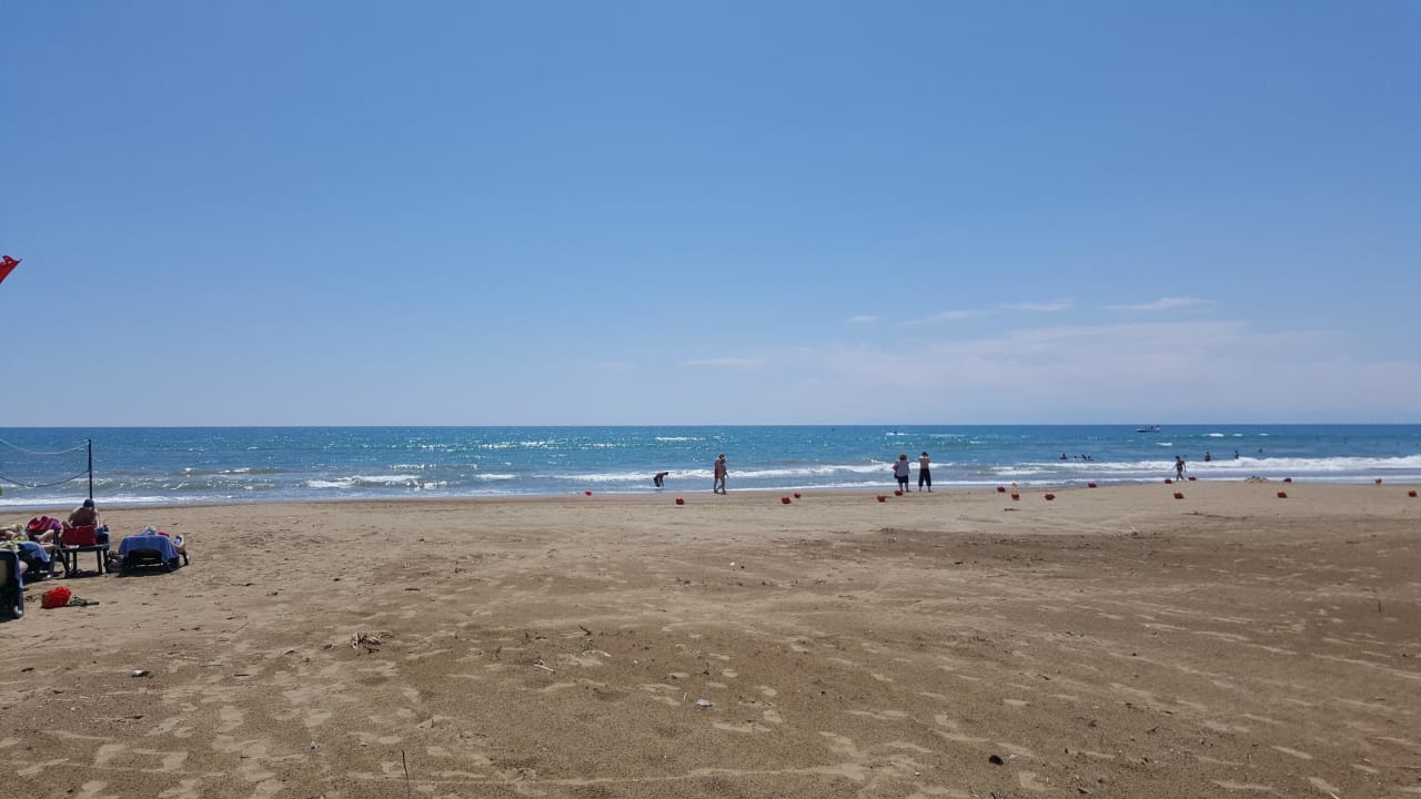 Strand, sehr sauber  Well Palace Side