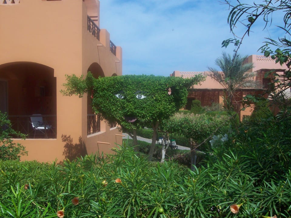 Ganze Arbeit Jaz Makadi Oasis Resort