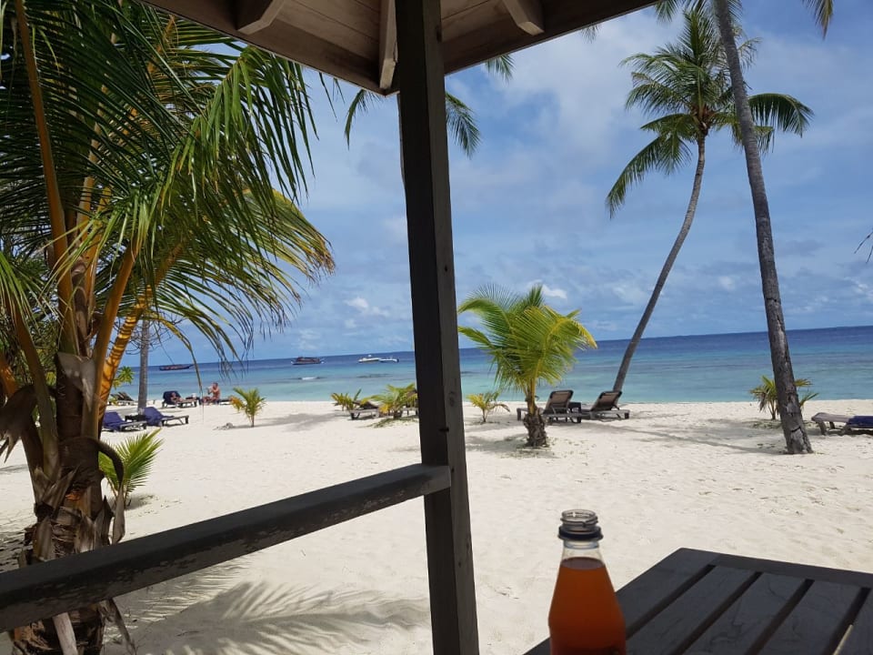 Zimmer Kuredu Island Resort & Spa