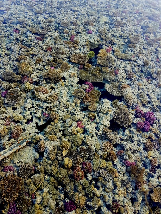 Strand Cleopatra Luxury Beach Resort Makadi Bay - Adults only