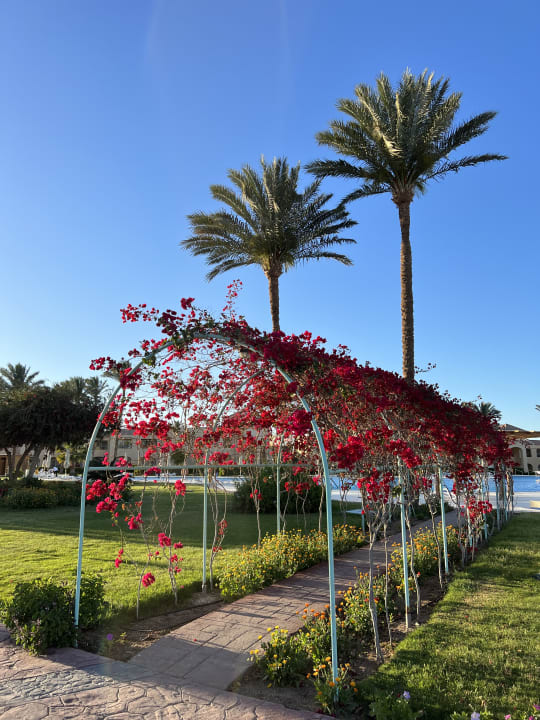 Gartenanlage Cleopatra Luxury Resort Makadi Bay