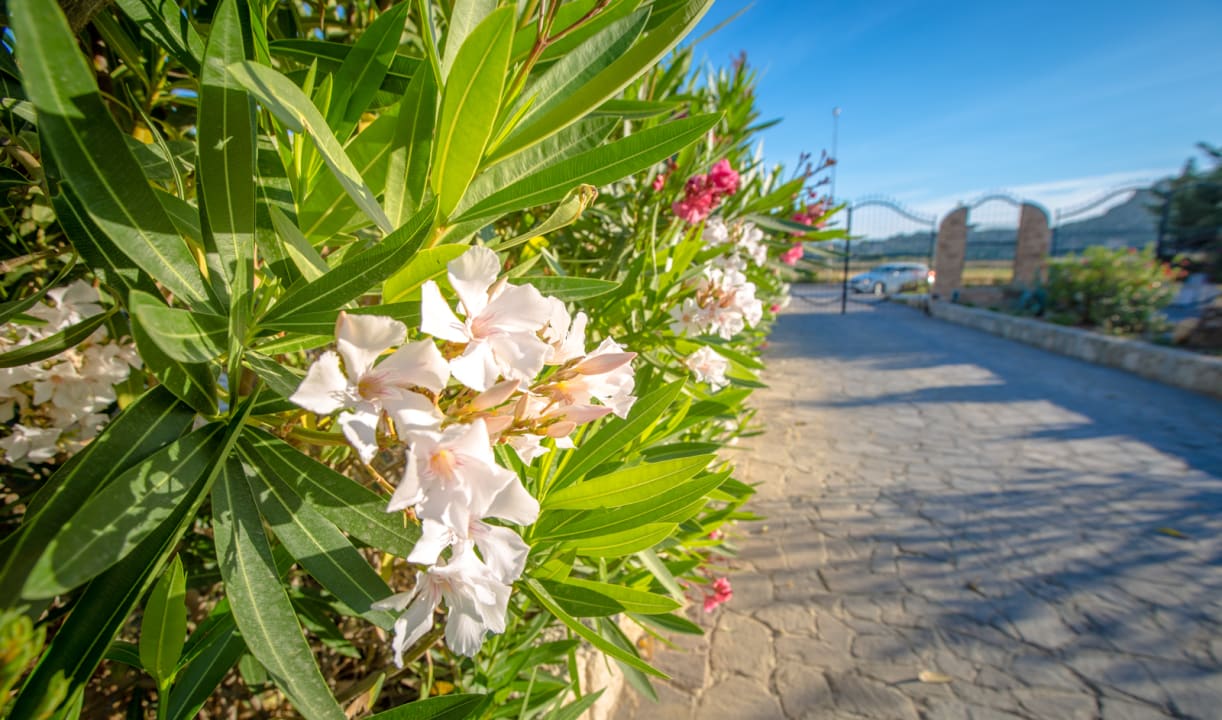 Gartenanlage Hotel Baia d'Oro