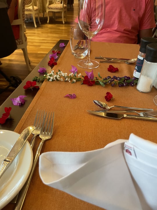 Gastro Arum Barut Collection